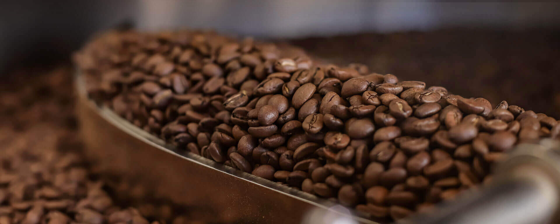 Kaffee frisch geröstet online kaufen