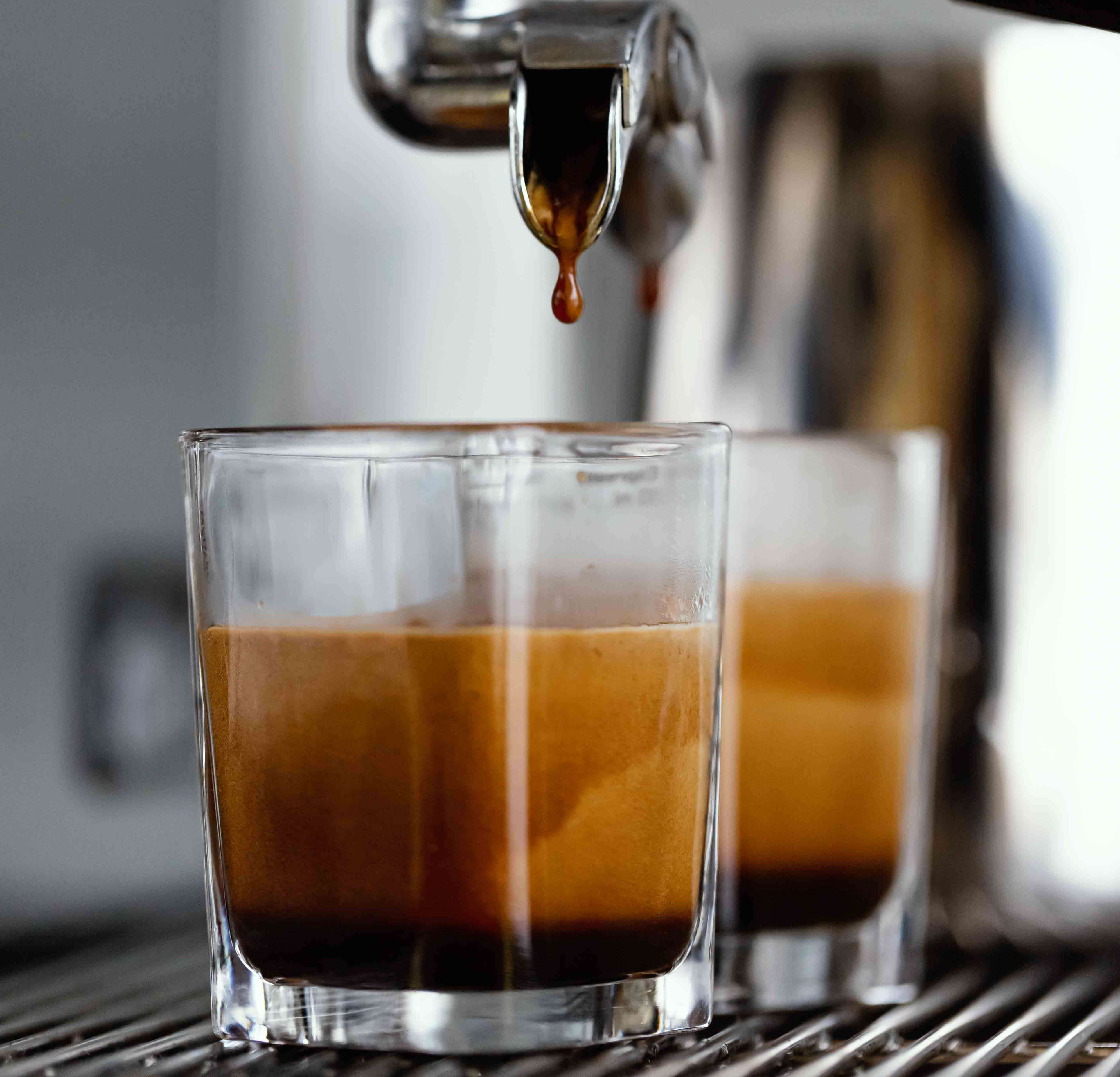 frisch geröstet Espresso Robusta